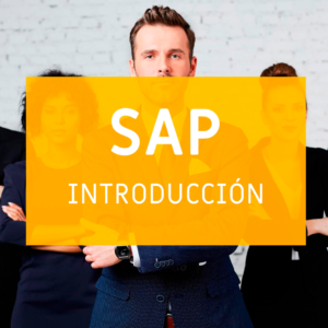 SAP Introducción