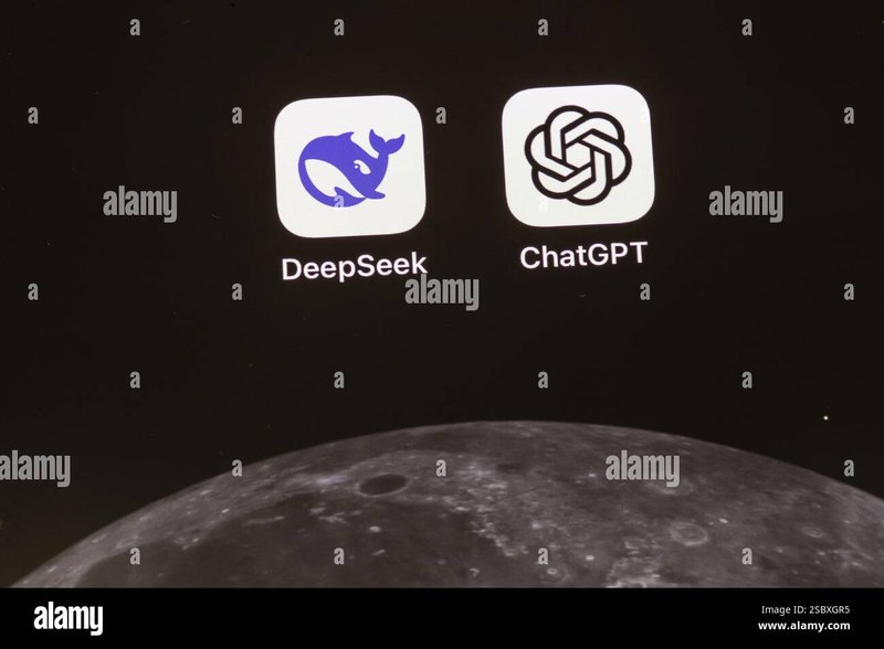 Catspins freispiele, catspins mobile